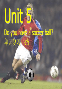 新人教版七年级英语上册Unit5Do-you-have-a-soccer-ball复习课