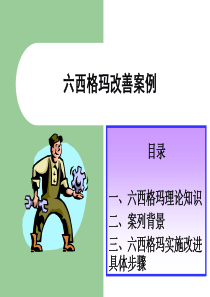 六西格玛改善案例