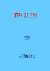 ERP原理与应用