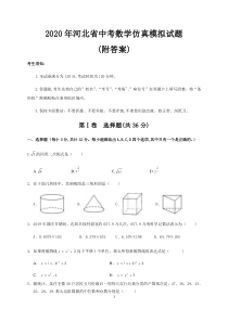 2020年河北省中考数学仿真模拟试题(附答案)