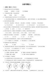 上海生物合格考模拟