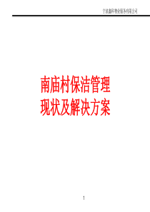 南庙村农村保洁现状及问题解决方案