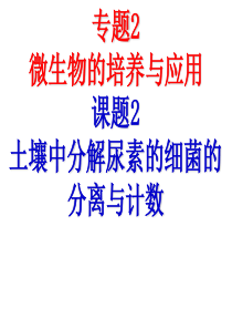 土壤中分解尿素的细菌的分离与计数(上课)..