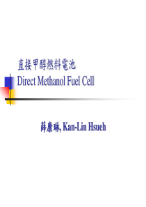 直接甲醇燃料电池