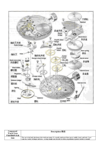 手表基础知识--中英文对照