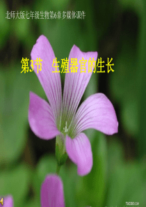 北师大版七年级生物上学期 第六章第三节生殖器官的生长