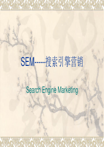 SEM-----搜索引擎营销