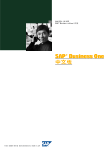 SAP Business One中文版解决方案