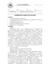 动物细胞培养与细胞生死状态的鉴别