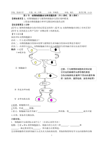 动物细胞融合与单克隆抗体(学案)