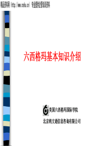 某某公司六西格玛基础知识介绍(1)