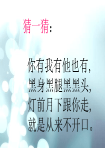 部编《影子》ppt课件