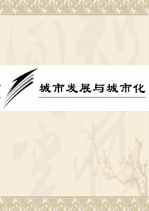 25【地理】2010高三一轮复习课件二十：2.1城市发展与城市化