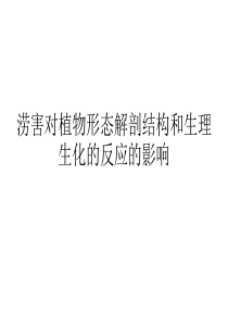 水涝胁迫对植物形态解剖结构和生理生化的影响