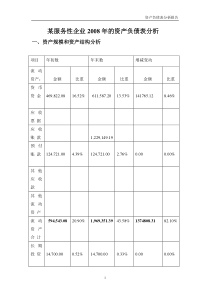 资产负债表的分析报告(案例分析)