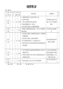 风险管理记录