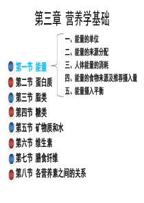 第三章-营养学基础-能量