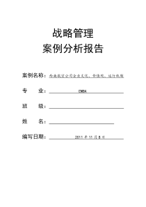 西南航空公司企业文化、价值观、运行机制战略管理案例分析报告