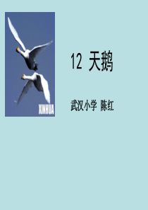 12 天鹅解析