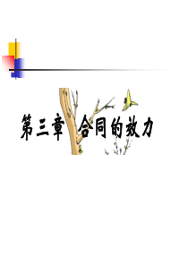 第三章-合同的效力