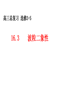 山东省冠县武训高级中学高三物理复习课件：波粒二象性