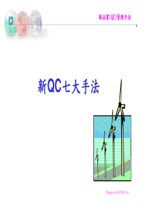 新QC七大手法 (1)