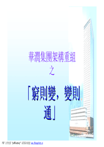 郎咸平《华润集团的资本运作》PDF