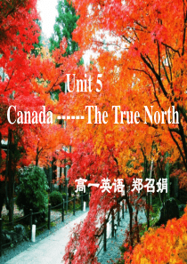 郑-Unit5 Canada-the true north-Reading