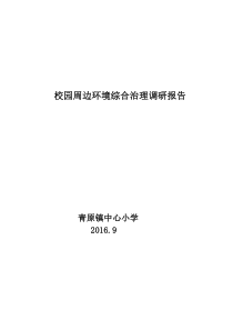 青原镇中心小学综治工作调研报告