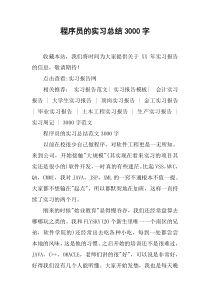 程序员的实习总结3000字