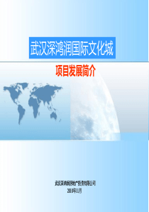 深鸿润国际文化城项目发展简介