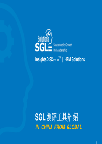 SGL DISC 人才测评工具