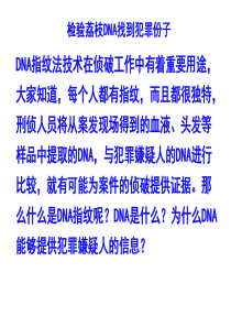 遗传信息的携带者――核酸课件