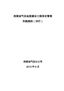 西南油气田地面建设工程项目管理实施细则(试行)