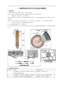 华师大初中生物复习要点