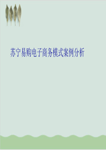 苏宁易购电子商务模式案例分析PPT课件(29页)