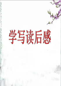 小学作文作文教学《读后感》PPT课件