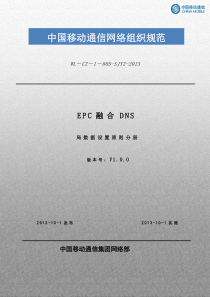 EPC融合DNS局数据设置原则分册