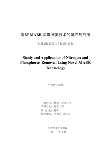 新型MABR除磷脱氮技术的研究与应用