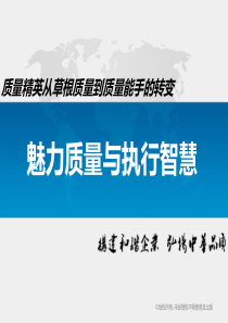 共创高绩效质量保证系统培训资料