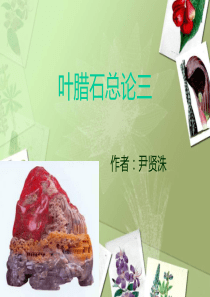 叶腊石总论三