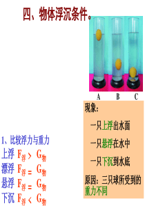 8S.1.5水的浮力(第3课时)