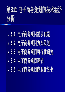 讲义形式打印 电子商务项目策划的经济技术分析