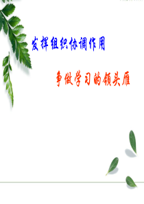 小组长培训