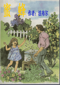 三年级上册14《蜜蜂》ppt课件