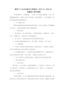 教师个人专业发展中长期规划