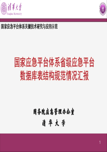 国家应急平台体系省级应急平台数据库表结构规范汇报20080227