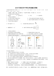 2019年湖北省武汉市中考化学试题