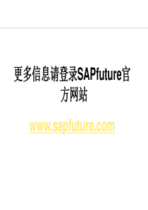 SAPfuture_SAP BW概览