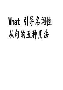 what引导名词性从句总结